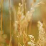 彼と出逢い身長の事が気にならなくなった私